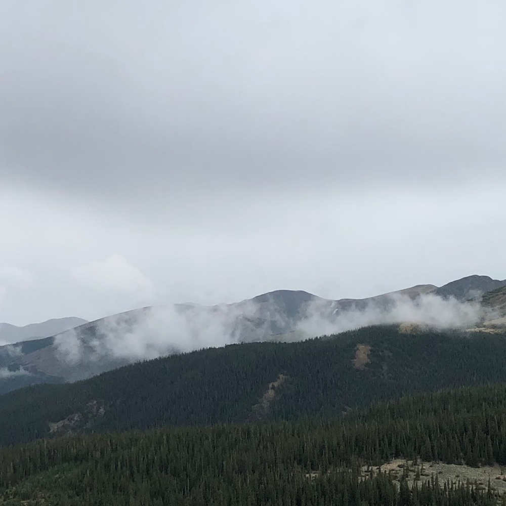 Meet your Posher, Sunshine